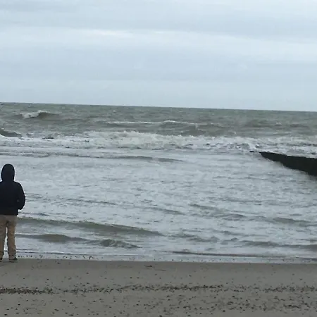 Lejlighed Chouette 5 Personnes